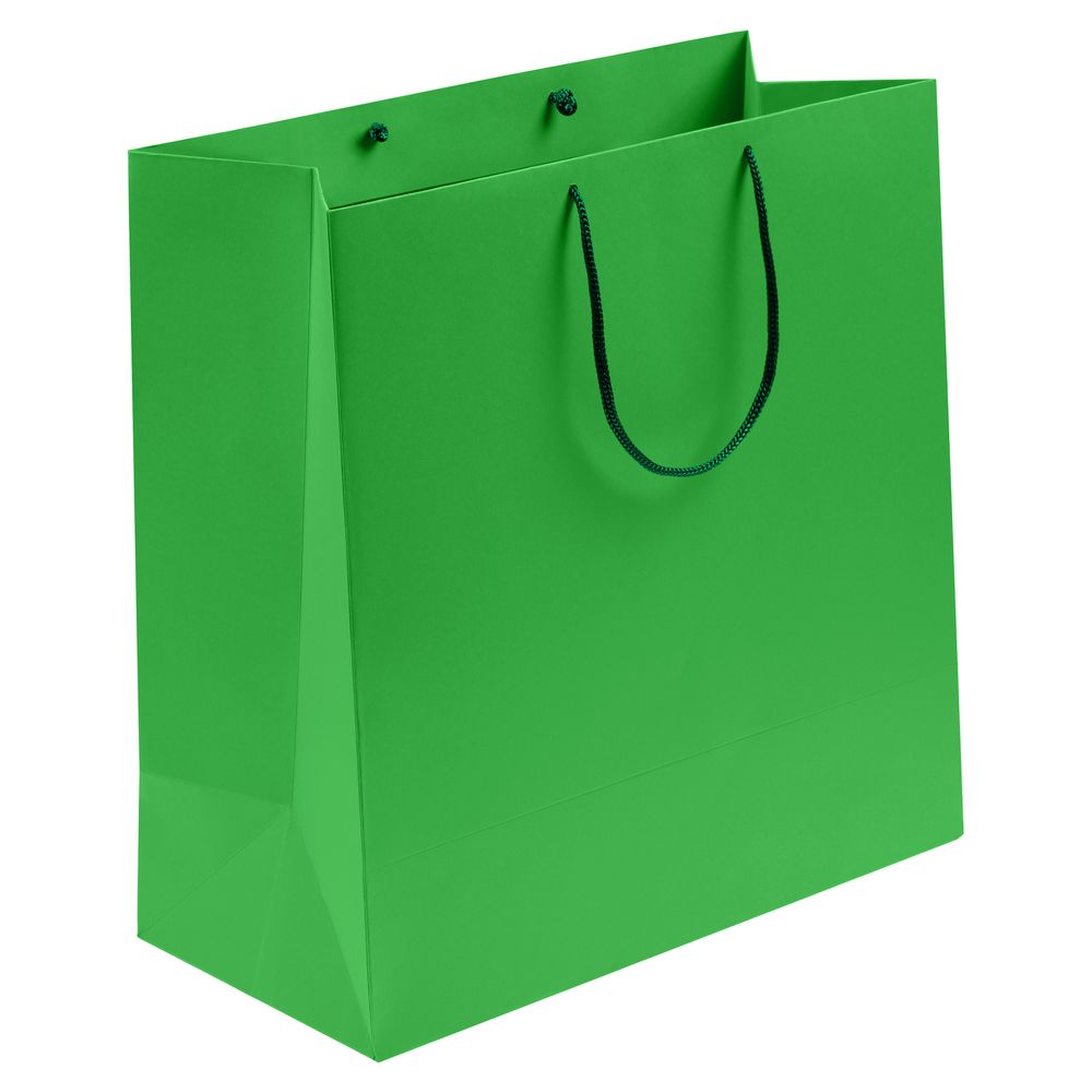 картинка Пакет бумажный Porta L, зеленый от магазина