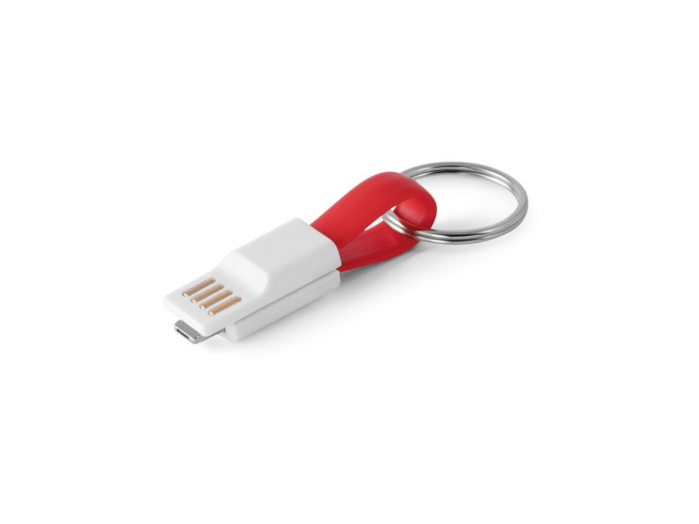 картинка USB-кабель с разъемом 2 в 1 RIEMANN от магазина