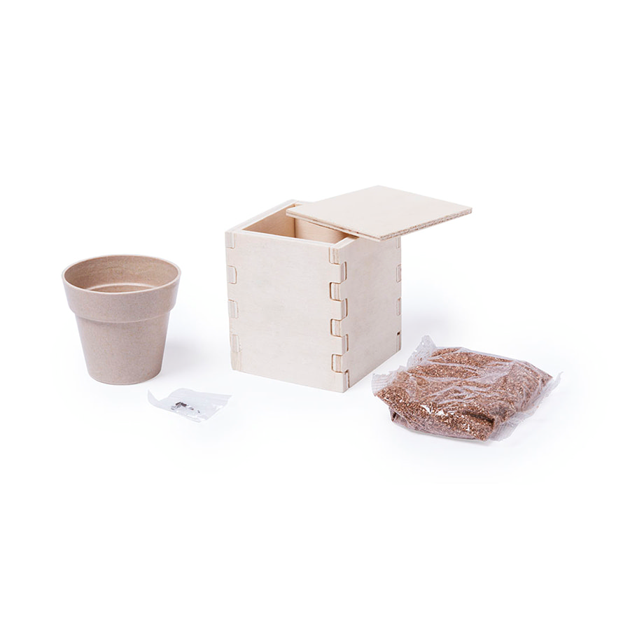 картинка Горшочек для выращивания мяты с семенами (6-8шт) в коробке MERIN, биоразлагаемый материал, дерево от магазина