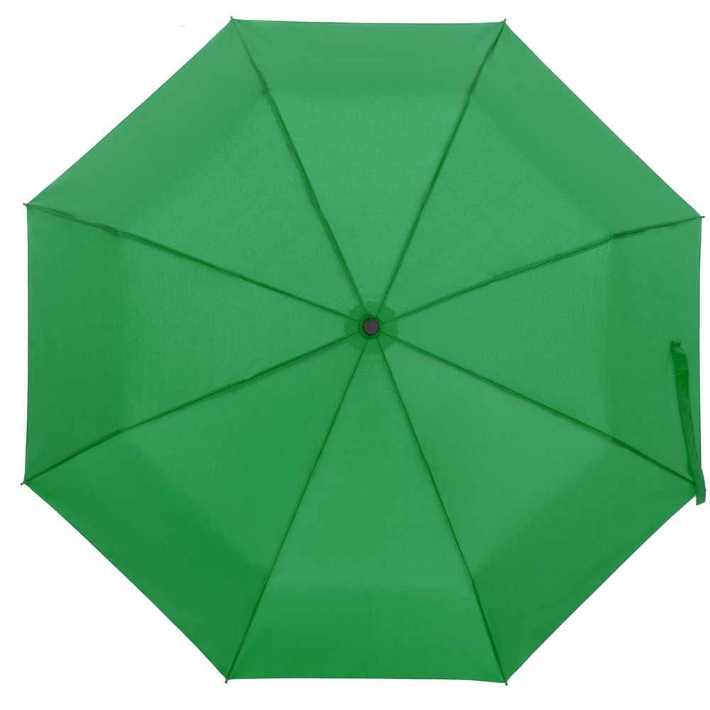 картинка Зонт складной Monsoon, ярко-зеленый от магазина